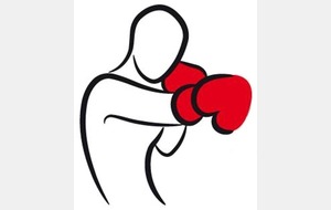 MULTISPORT BOXE
